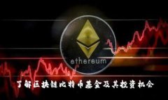 了解区块链比特币基金及