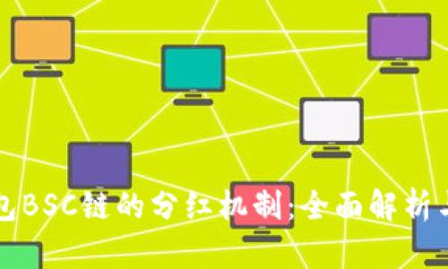 TP钱包BSC链的分红机制：全面解析与应用