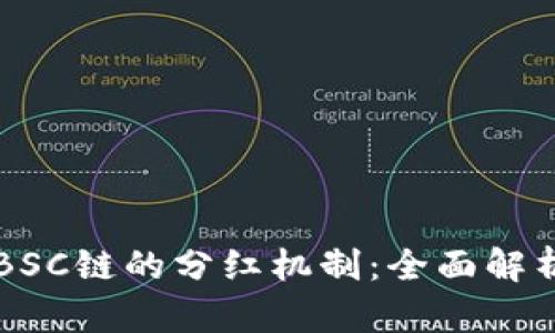 TP钱包BSC链的分红机制：全面解析与应用