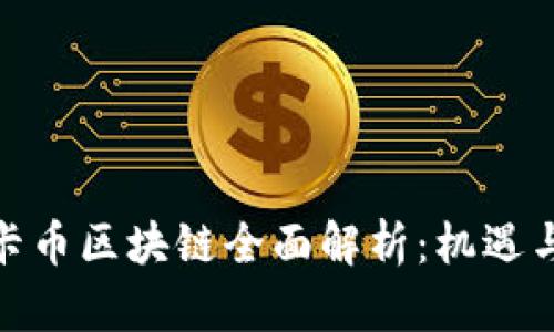 : 维卡币区块链全面解析：机遇与挑战