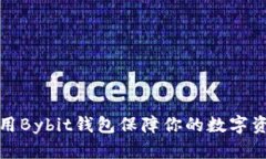 如何使用Bybit钱包保障你的数字资产安全