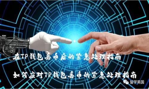在TP钱包丢币后的紧急处理指南  

如何应对TP钱包丢币的紧急处理指南