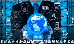 揭秘比特币和区块链：从