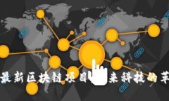 探索大众最新区块链项目