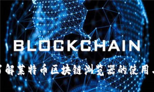 全面了解莱特币区块链浏览器的使用与价值