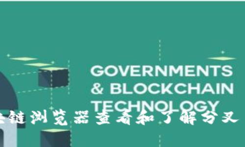 如何通过区块链浏览器查看和了解分叉币的最新动态