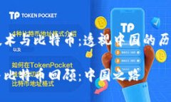 区域链技术与比特币：透