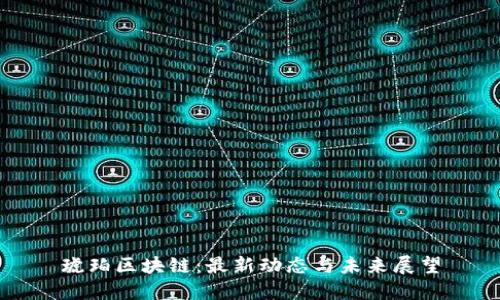 琥珀区块链：最新动态与未来展望