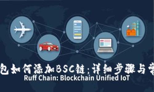 电脑版TP钱包如何添加BSC链：详细步骤与常见问题解析