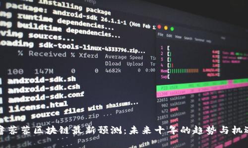 詹蓉蓉区块链最新预测：未来十年的趋势与机遇