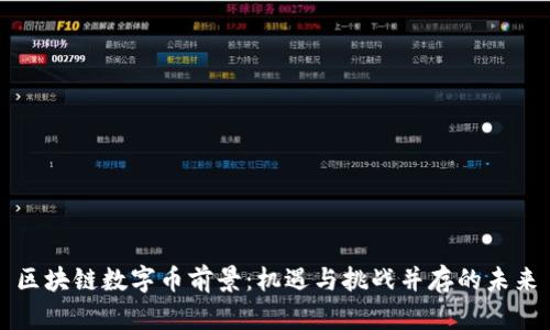 区块链数字币前景：机遇与挑战并存的未来