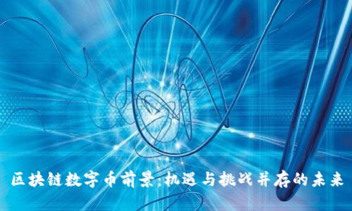 区块链数字币前景：机遇与挑战并存的未来