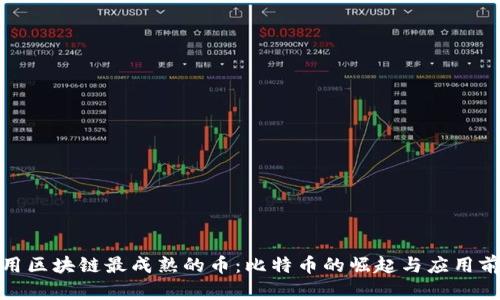 运用区块链最成熟的币：比特币的崛起与应用前景