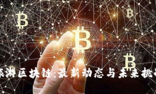 旅游区块链：最新动态与未来挑战