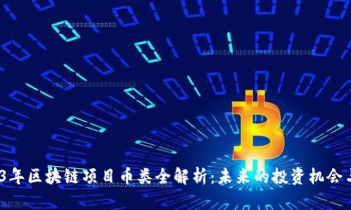  2023年区块链项目币类全解析：未来的投资机会与风险