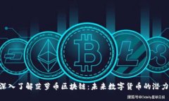 baioti深入了解菠萝币区块