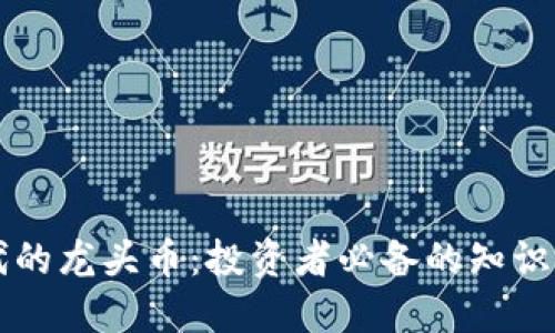 区块链时代的龙头币：投资者必备的知识与选择指南