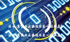派币：真实的区块链还是