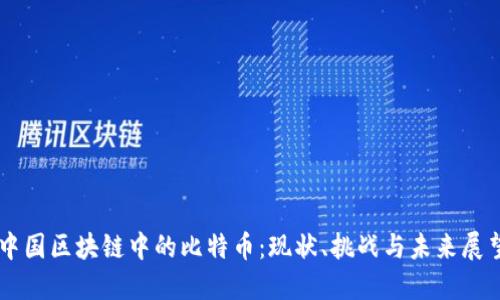 中国区块链中的比特币：现状、挑战与未来展望