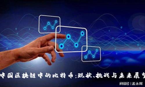 中国区块链中的比特币：现状、挑战与未来展望