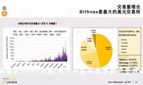 全面解析Bying钱包：用户必备的数字资产管理工具
