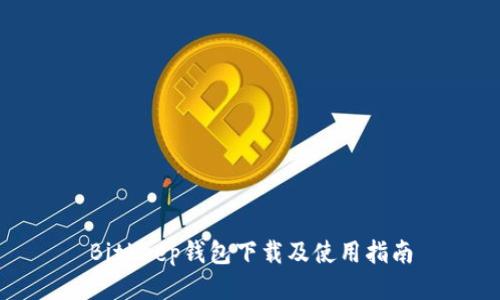 Bitkeep钱包下载及使用指南