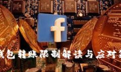 TP钱包转账限制解读与应对策略