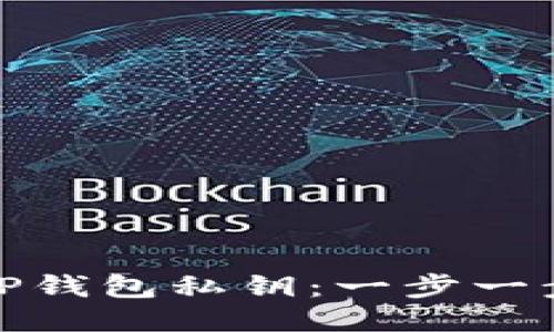 如何找回TP钱包私钥：一步一步的全攻略