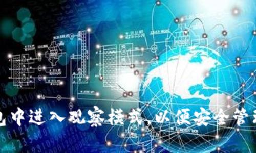 : 如何在TP钱包中进入观察模式，以便安全管理您的数字资产