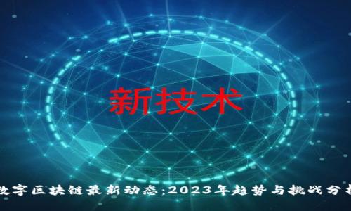 数字区块链最新动态：2023年趋势与挑战分析
