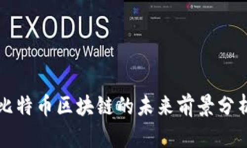 比特币区块链的未来前景分析