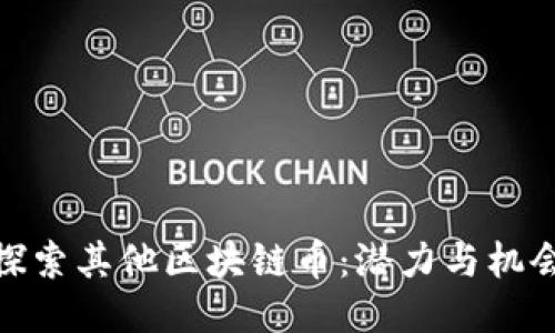 探索其他区块链币：潜力与机会