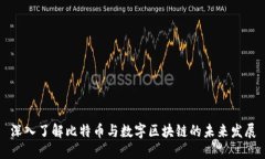 深入了解比特币与数字区块链的未来发展