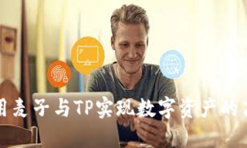 如何利用麦子与TP实现数字资产的高效管理