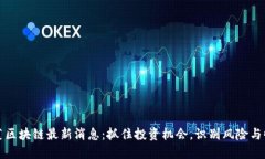 韭菜区块链最新消息：抓住投资机会，识别风险